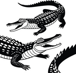 crocodile in the form of a crocodile