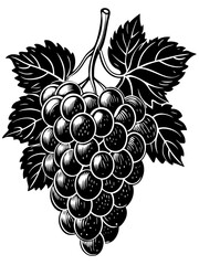 Vineyard Delight: A classic illustration of a lush cluster of grapes, complete with leaves, evoking a sense of rustic charm and the bounty of the harvest.