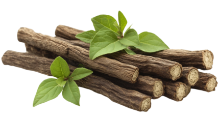 Licorice wooden dry roots  for medical herb with fresh vibrant green leaves isolated on white background. Suitable for marketing or business purposes. PNG file