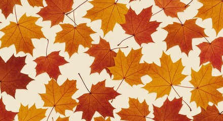 Fototapeta premium texture, closeup, wood, brown, pattern, feather, detail, nature, wooden, leaf, macro, close-up, bird, metal, design, architecture