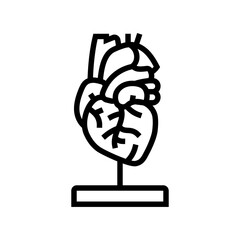 heart model cardiology accessories line icon vector illustration