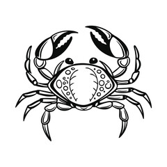Crab vector illustration, hand drawn style, detailed vector, isolated on a white background