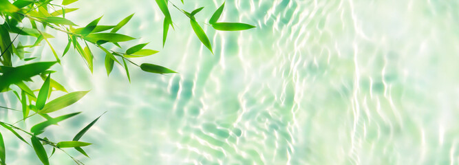 Fototapeta na wymiar bamboo leaf branch isolated on transparent rippled water surface background, abstract nature scene background concept with sunlight reflections for cosmetics, vacations and travel, top view