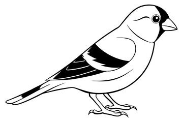 canary line art silhouette vector illustration