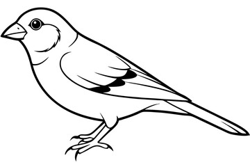 canary line art silhouette vector illustration