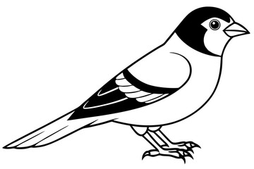 canary line art silhouette vector illustration