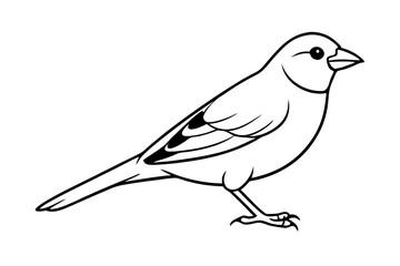 canary line art silhouette vector illustration