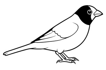 canary line art silhouette vector illustration