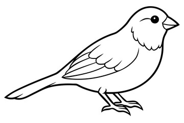 canary line art silhouette vector illustration