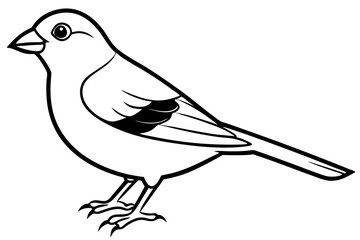 canary line art silhouette vector illustration