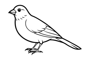 canary line art silhouette vector illustration