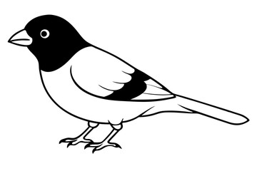 canary line art silhouette vector illustration