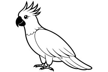 cockatoo line art silhouette vector illustration