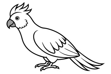 cockatoo line art silhouette vector illustration