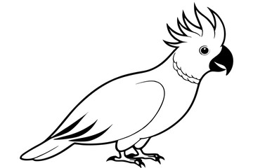 cockatoo line art silhouette vector illustration