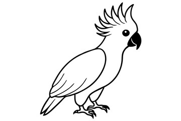 cockatoo line art silhouette vector illustration