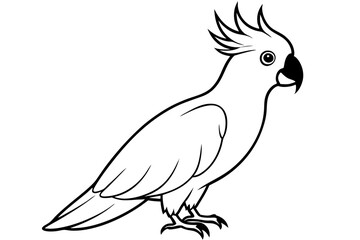 cockatoo line art silhouette vector illustration