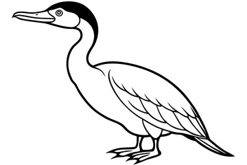 cormorant line art silhouette vector illustration