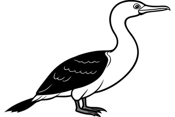 cormorant line art silhouette vector illustration