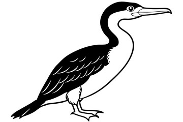 cormorant line art silhouette vector illustration
