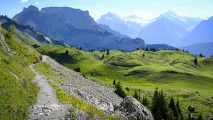 Handdoek met foto Scenic view from the Schynige Platte panoramic ridge walking trail hike in Switzerland alps in the Bernese Highlands. Green meadows and Swiss mountains on a sunny day. © Andrea