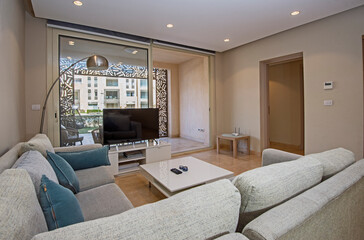 Interior design of luxury apartment living room with garden patio