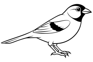 finch line art silhouette vector illustration