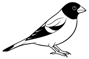 finch line art silhouette vector illustration