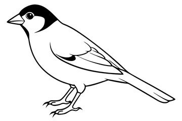 finch line art silhouette vector illustration