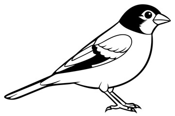 finch line art silhouette vector illustration