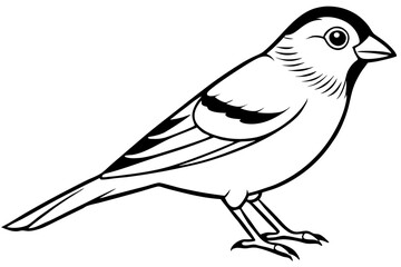 finch line art silhouette vector illustration