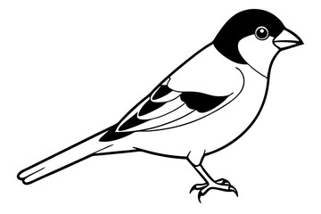 finch line art silhouette vector illustration