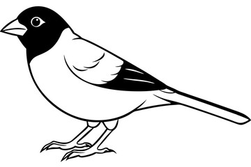 finch line art silhouette vector illustration