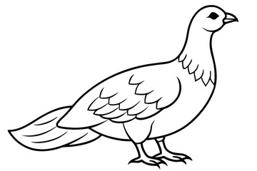 grouse line art silhouette vector illustration