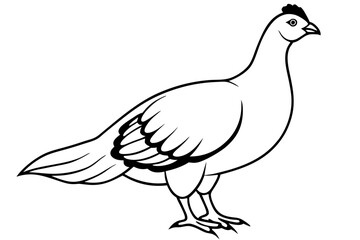 grouse line art silhouette vector illustration