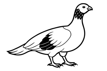 grouse line art silhouette vector illustration