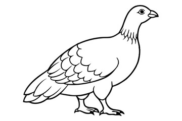grouse line art silhouette vector illustration