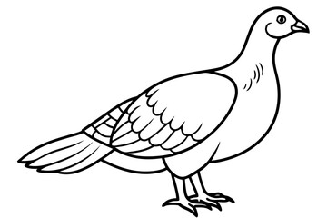 grouse line art silhouette vector illustration