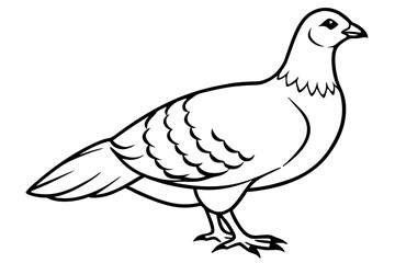 grouse line art silhouette vector illustration