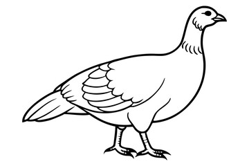 grouse line art silhouette vector illustration