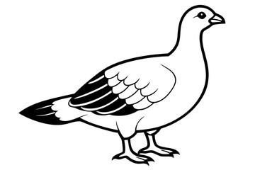 grouse line art silhouette vector illustration