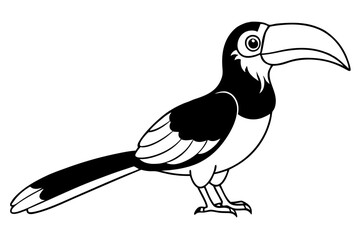 hornbill line art silhouette vector illustration