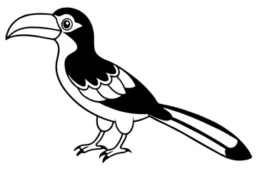 hornbill line art silhouette vector illustration