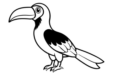 hornbill line art silhouette vector illustration