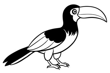 hornbill line art silhouette vector illustration