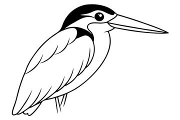 kingfisher line art silhouette vector illustration