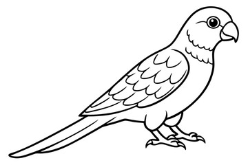lorikeet line art silhouette vector illustration