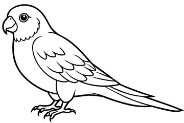 lorikeet line art silhouette vector illustration