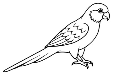 lorikeet line art silhouette vector illustration