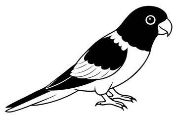 Fototapeta premium lorikeet line art silhouette vector illustration